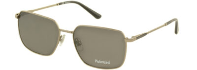 C/з Megapolis 240 С: Brown