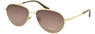 C/з Megapolis 885 С: Brown