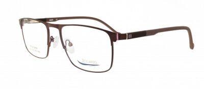 Ricardo RS212456 C:2