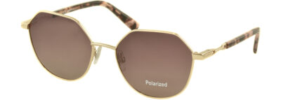 C/з Megapolis 791 С: Brown